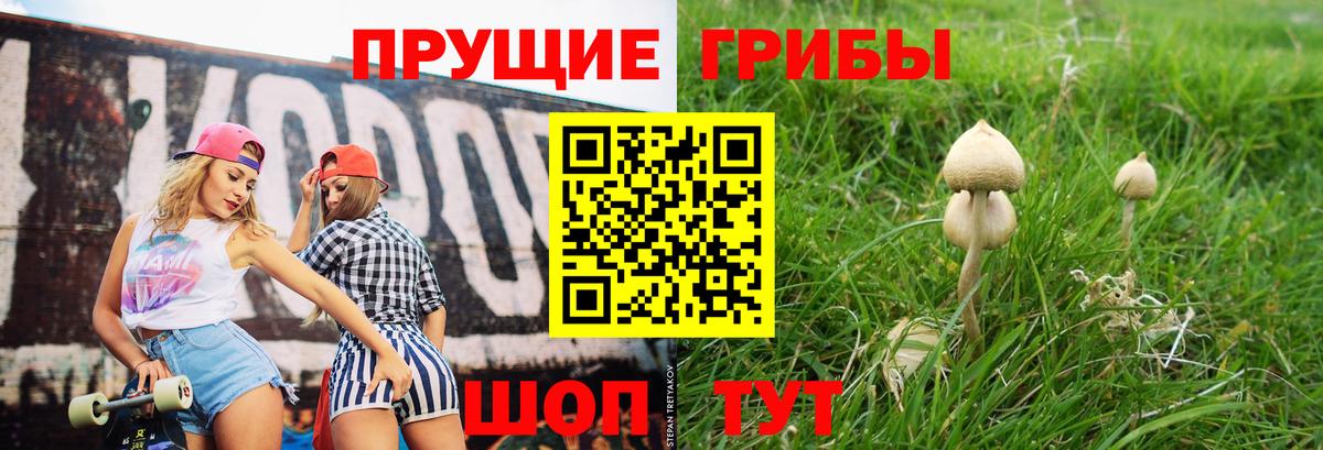 Псилоцибиновые грибы GOLDEN TEACHER Лесной