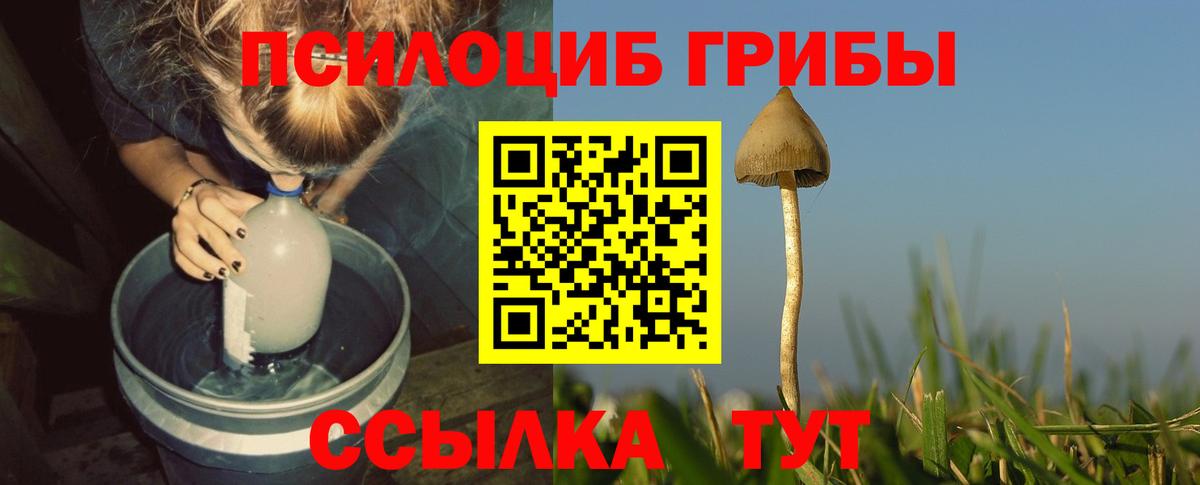 Лесной  Галлюциногенные грибы мухоморы  Галлюциногенные грибы GOLDEN TEACHER  Вход с VPN 